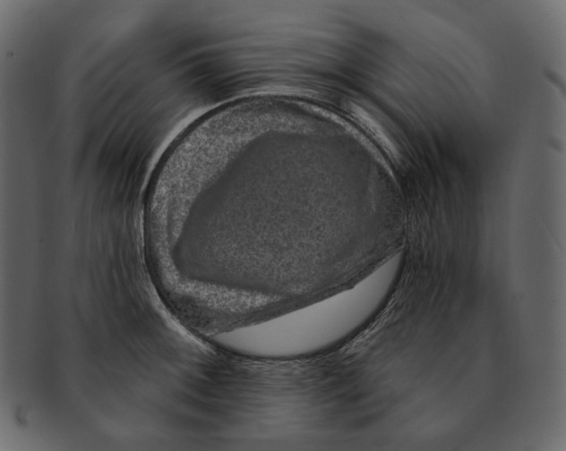 X0000091931092200710031054