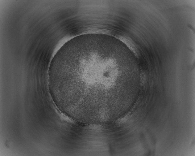 X0000091931094200710031054