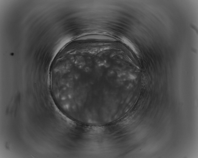 X0000091931095200710031054