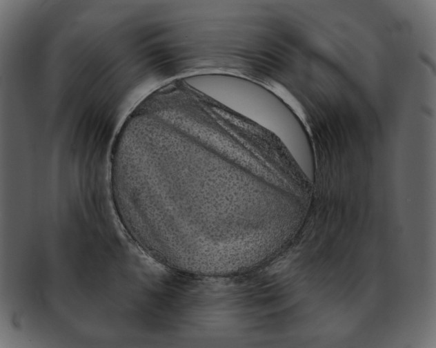 X0000091931096200710031054