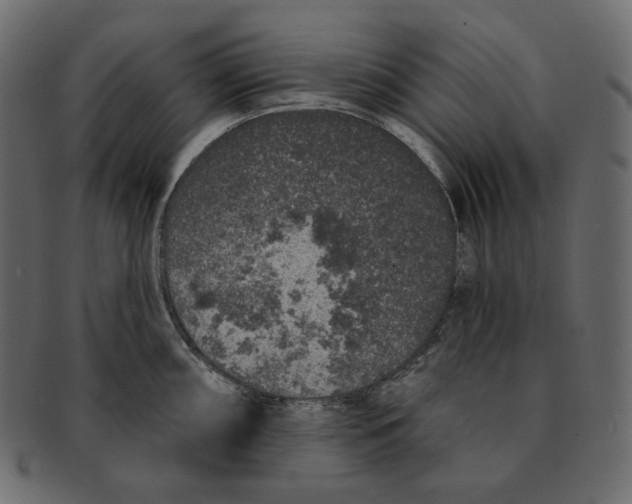 X0000091931098200710031054