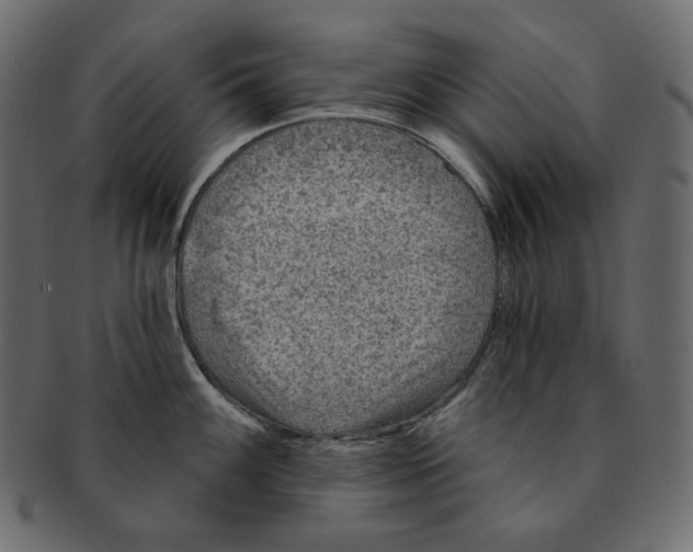 X0000091931100200710031054