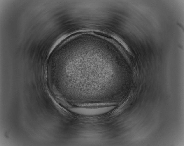 X0000091931101200710031054