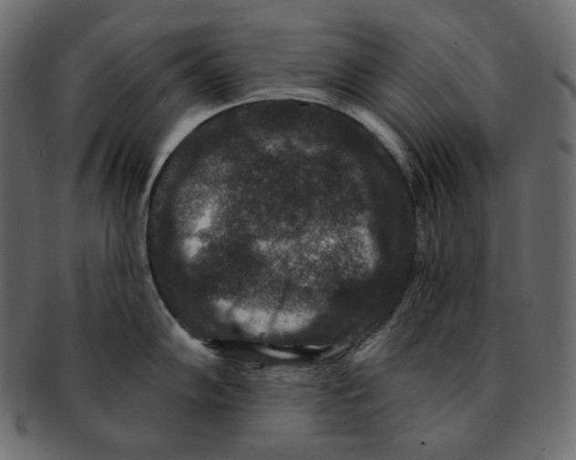 X0000091931102200710031054