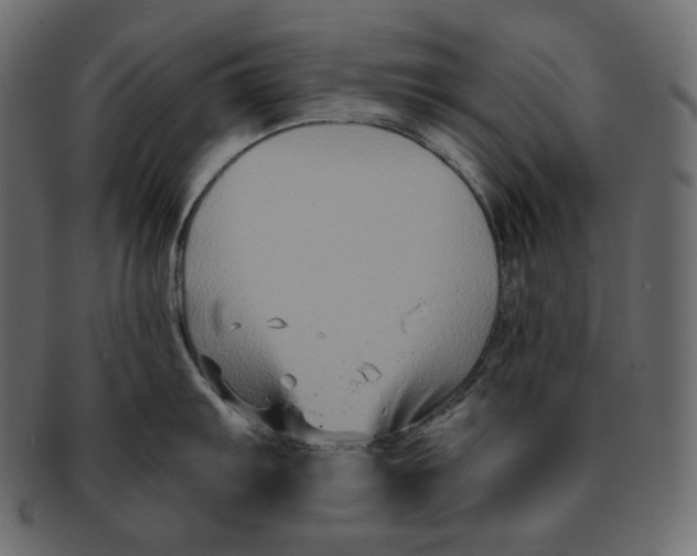 X0000091931103200710031054