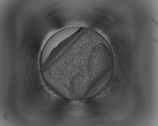 X0000091931104200710031054