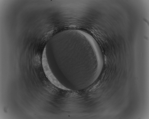 X0000091931106200710031053