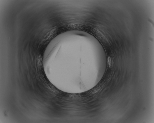 X0000091931107200710031053