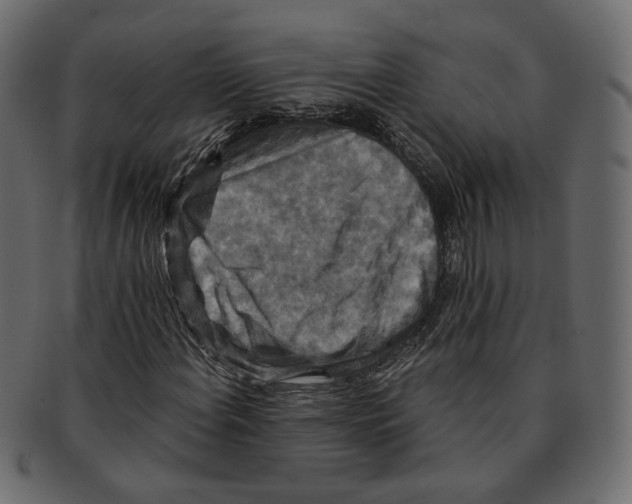 X0000091931108200710031053