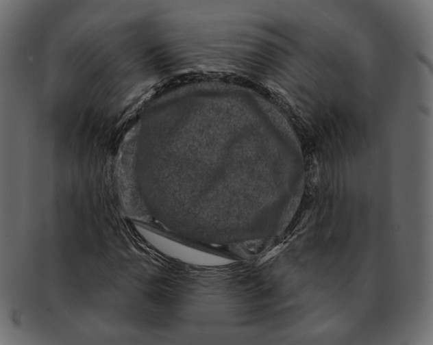 X0000091931110200710031053