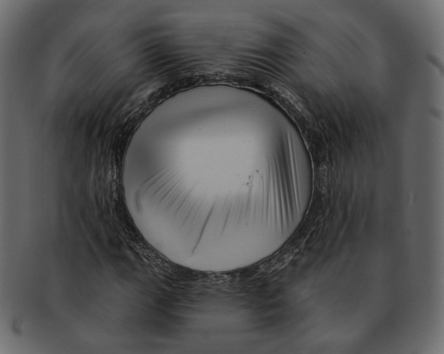 X0000091931111200710031053