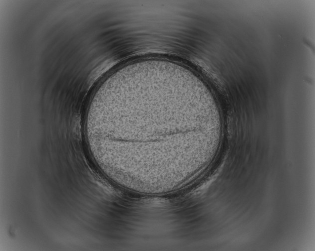 X0000091931113200710031053