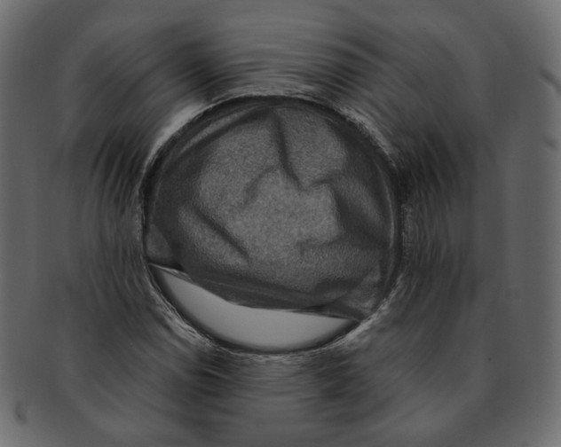 X0000091931114200710031053