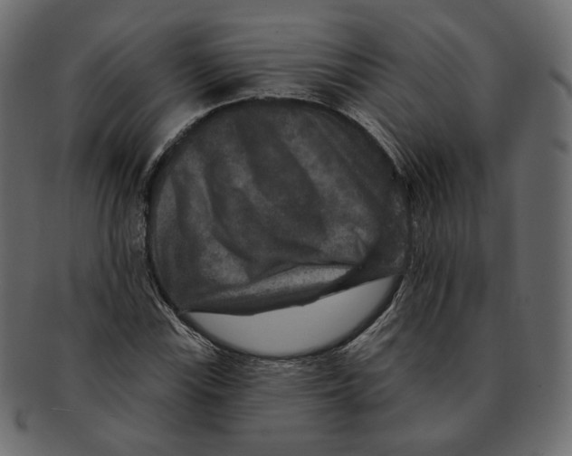 X0000091931115200710031053