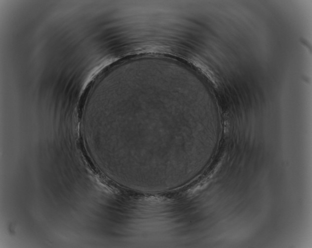 X0000091931117200710031054