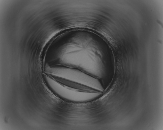 X0000091931118200710031054