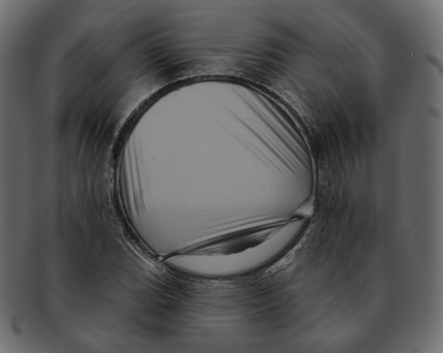 X0000091931119200710031054