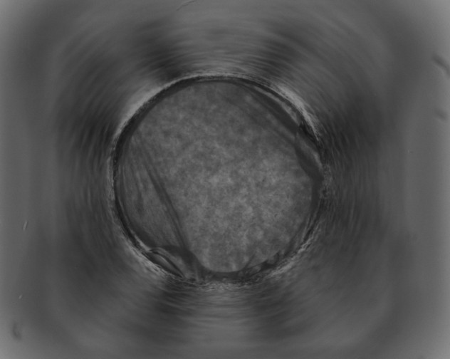 X0000091931120200710031054