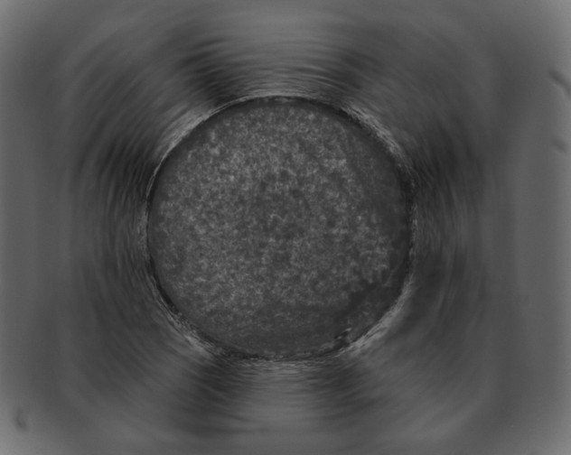 X0000091931121200710031054