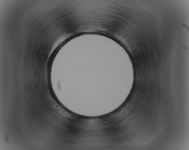 X0000091931122200710031054