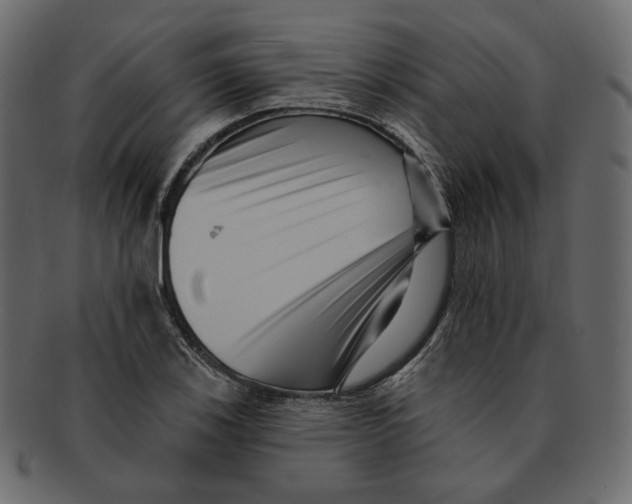 X0000091931123200710031054