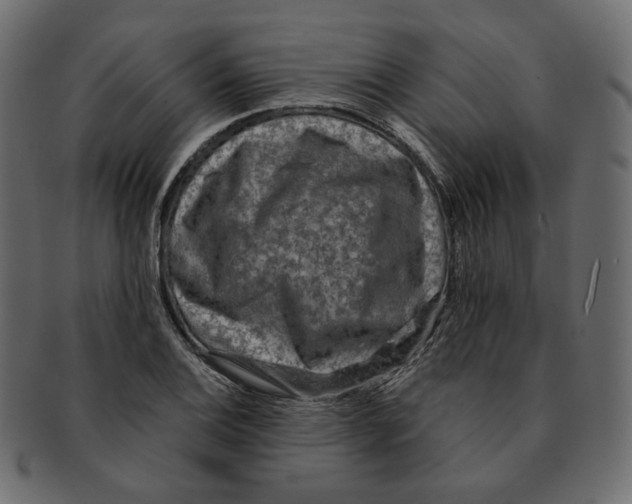 X0000091931124200710031054