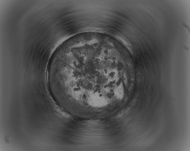 X0000091931125200710031054