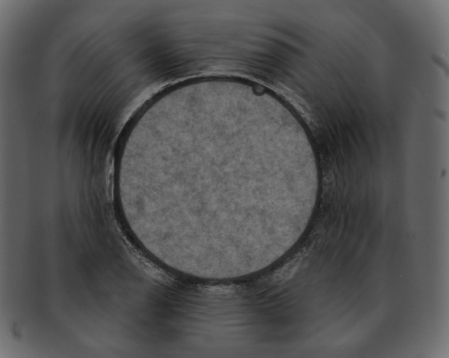 X0000091931126200710031054