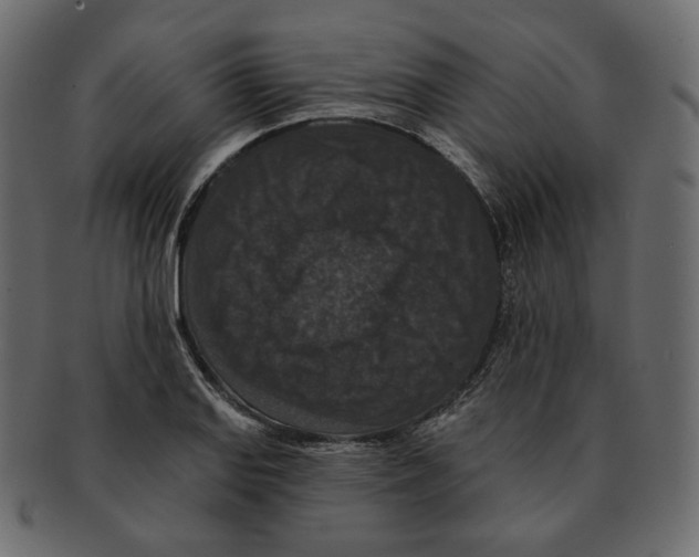 X0000091931127200710031054