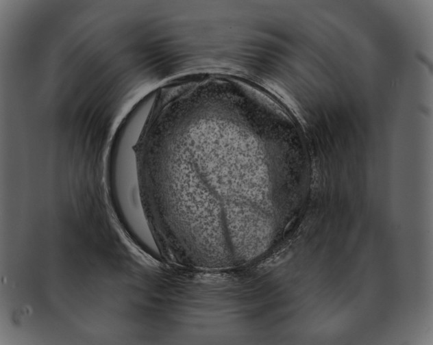 X0000091931128200710031054