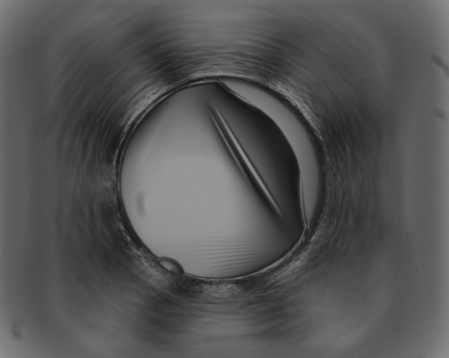 X0000091931129200710031054