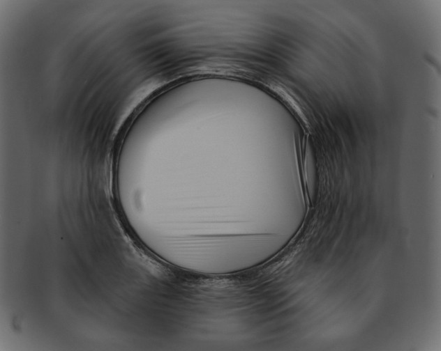 X0000091931131200710031054