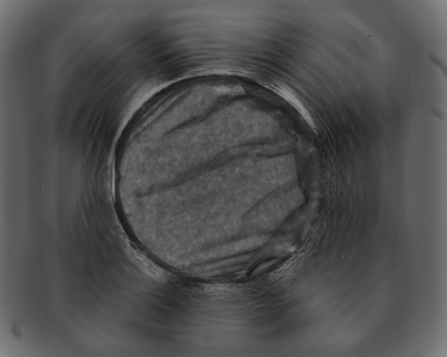 X0000091931132200710031054