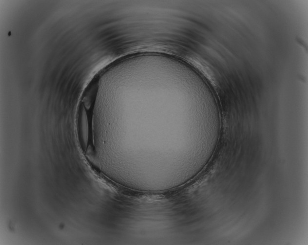 X0000091931133200710031054