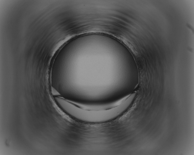 X0000091931134200710031054