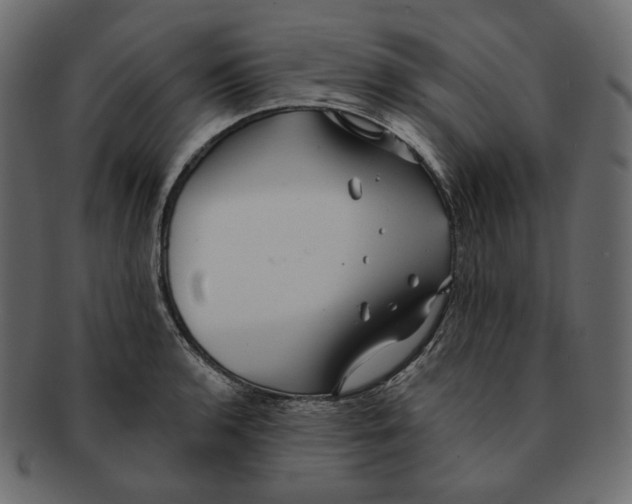 X0000091931136200710031054