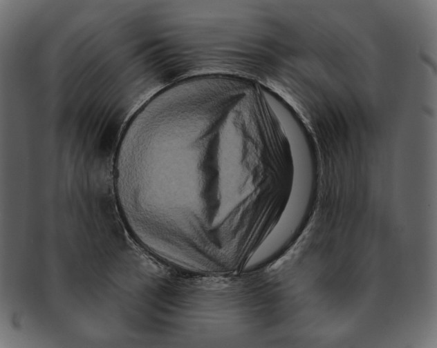 X0000091931137200710031054