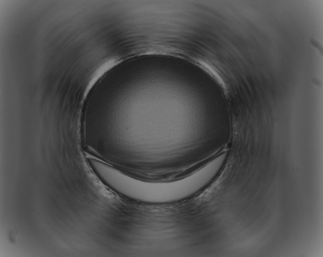 X0000091931138200710031054