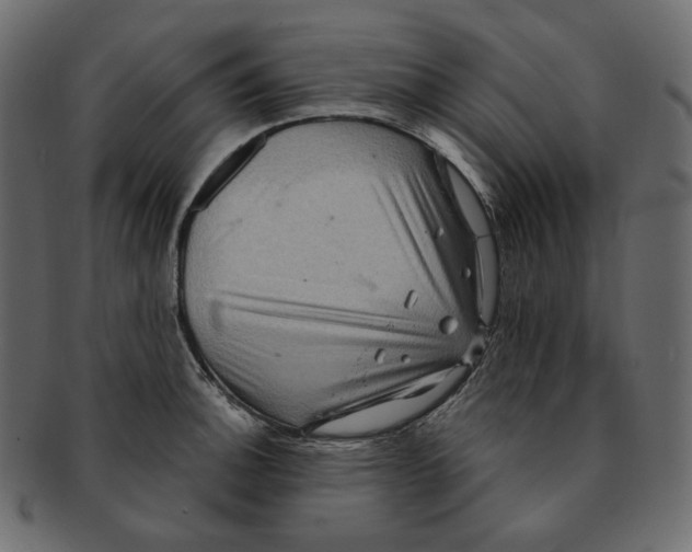 X0000091931140200710031054