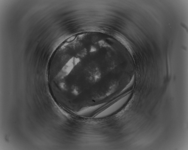 X0000091931141200710031054