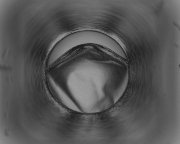 X0000091931142200710031054