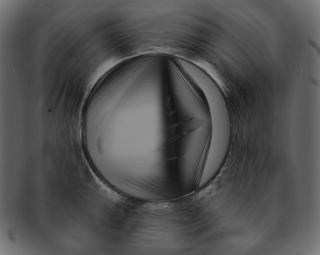 X0000091931143200710031054