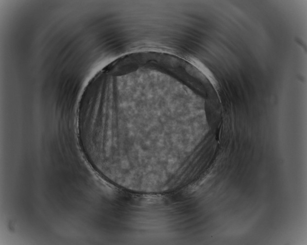 X0000091931144200710031054