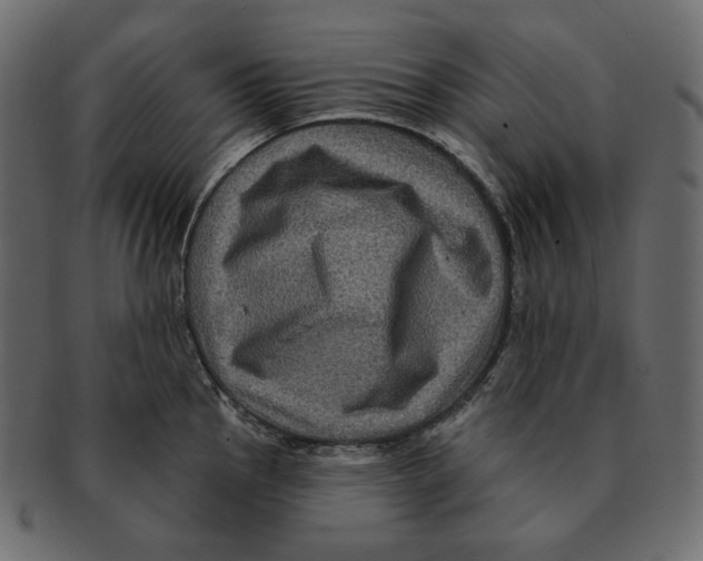 X0000091931145200710031054