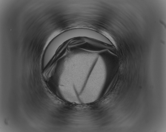 X0000091931146200710031054