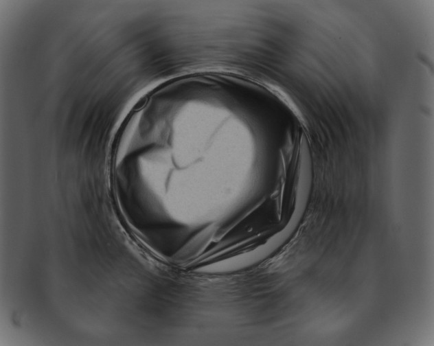 X0000091931148200710031054