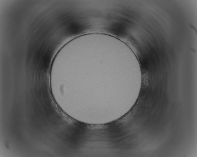 X0000091931150200710031054