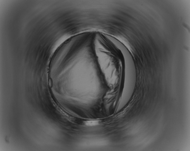 X0000091931151200710031054