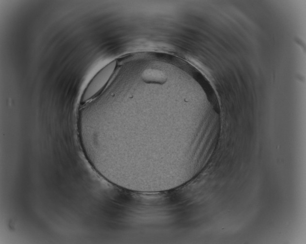 X0000091931152200710031054