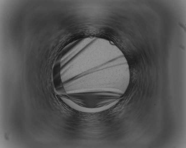 X0000091931153200710031053